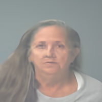 Mugshot of CHERYL FAY TASSIN