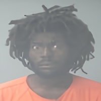 Mugshot of PARIS LAMONT ANDERSON