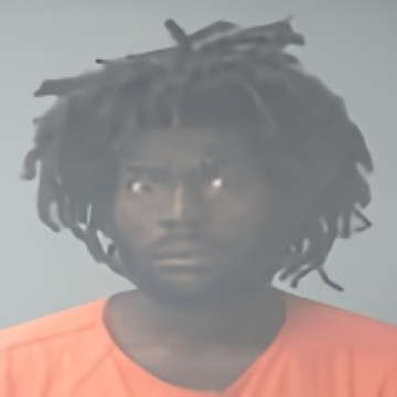 Mugshot of PARIS LAMONT ANDERSON