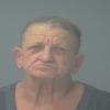 Mugshot of CAROL LOU PAGE