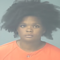 Mugshot of BRYANNA LEE PERKINS