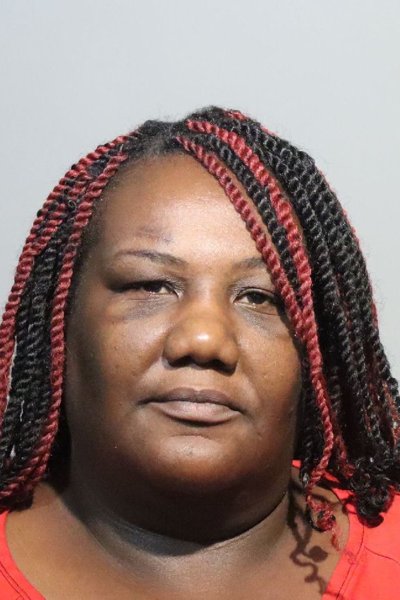 Mugshot of NICOLE PAIGE