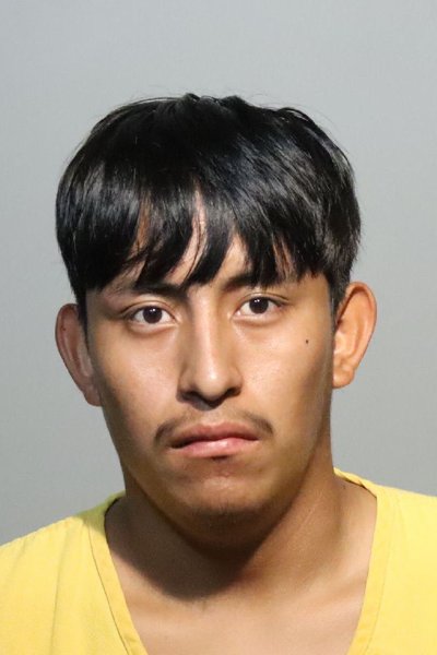 Mugshot of WILLIAM ROBLERO MENDEZ
