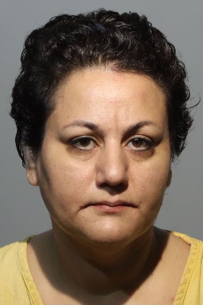 Mugshot of NILOOFAR S SHARIFI