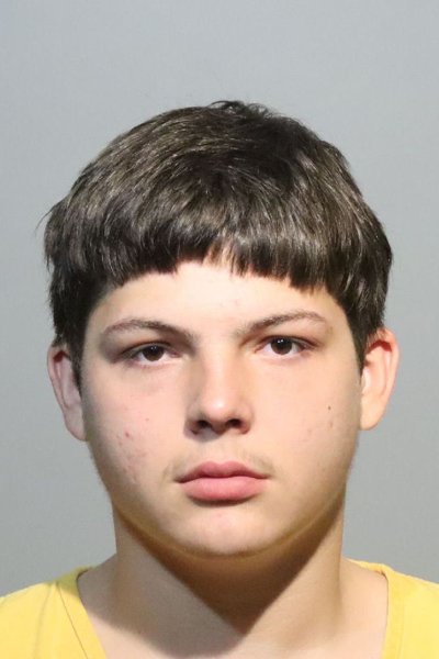 Mugshot of MARK NELSON