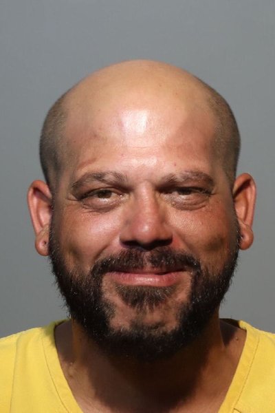 Mugshot of BRANDON NEW