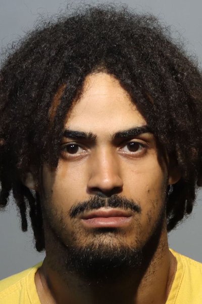 Mugshot of AMANNY DAVID HERNANDEZ