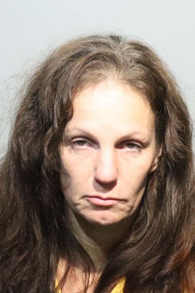 Mugshot of AUDRA WELLS