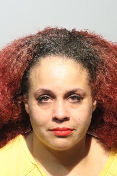 Mugshot of ERICA LEIGH JOHNSON