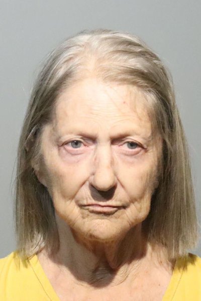 Mugshot of LOU ANNE LANGLEY