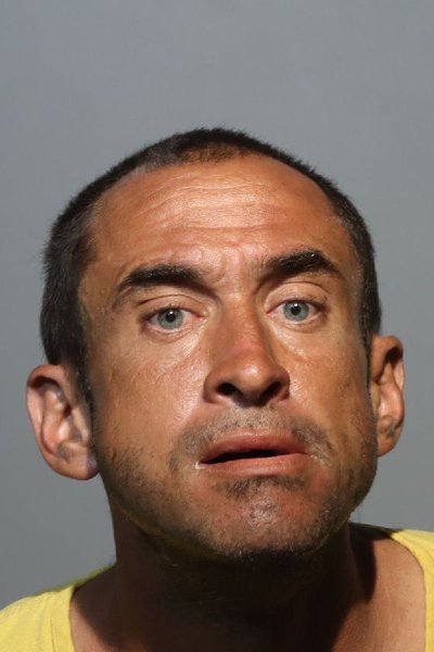 Mugshot of DARREN WILLIAM MENEZES