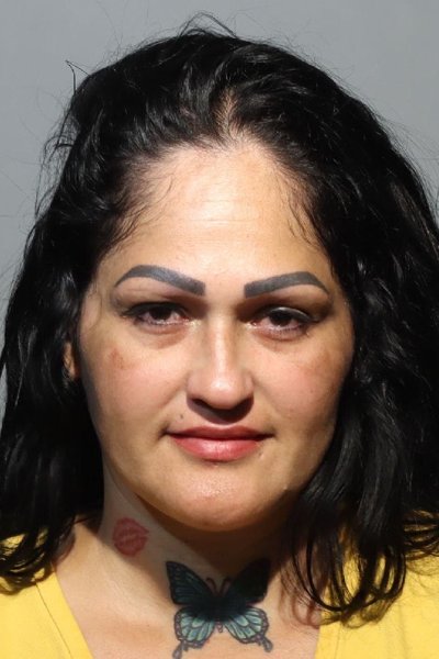 Mugshot of LISSETTE RESTO AVILES