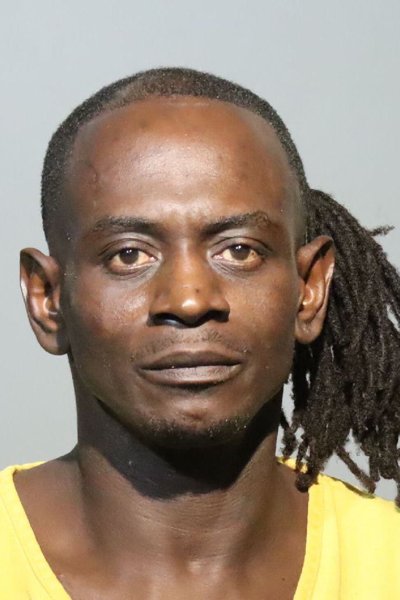 Mugshot of ELGIN GERROME MAYS