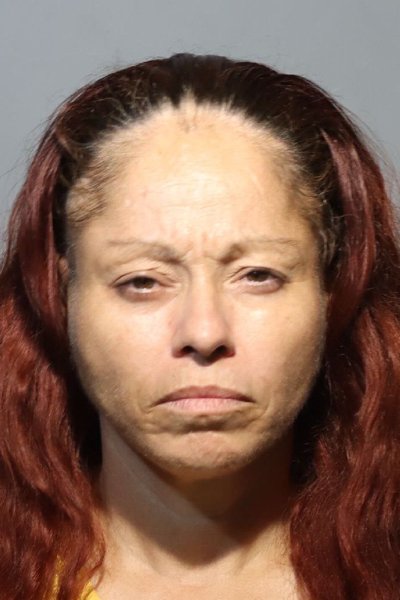 Mugshot of ROXANA CASTRO