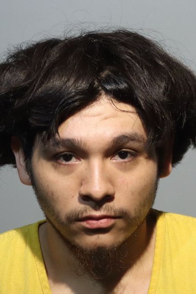 Mugshot of LUIS ROSALES
