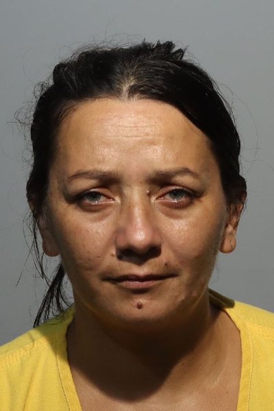 Mugshot of NICOLETA ILIE