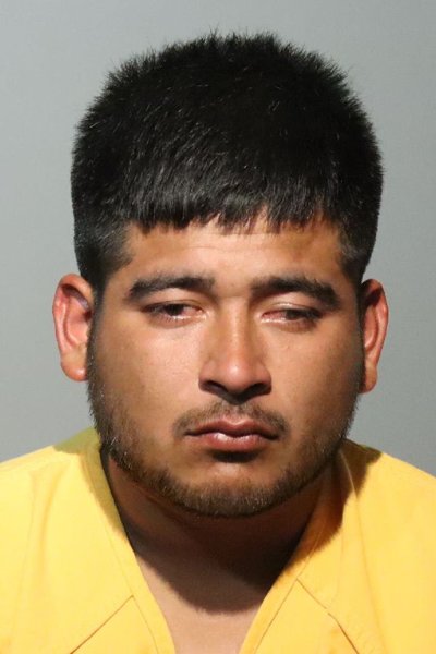 Mugshot of NELSON JOEL CAAL ACTE