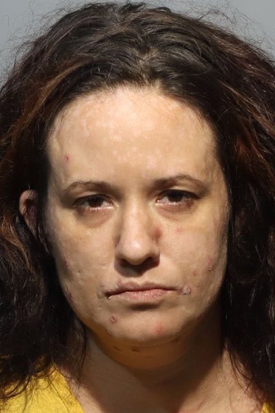 Mugshot of STEPHANIE SCHOOLMAN