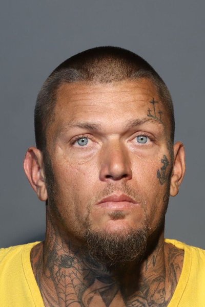 Mugshot of DAVID RUSSELL MCAULEY