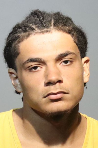 Mugshot of DONOVAN NIGEL LEE