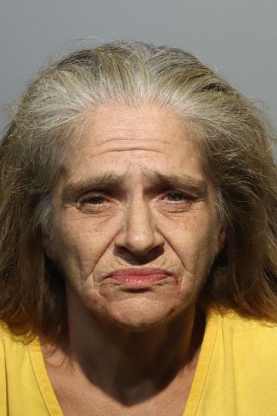 Mugshot of LISA CICHY