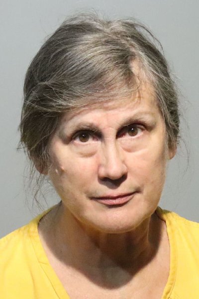 Mugshot of STACY LYNN OLSON