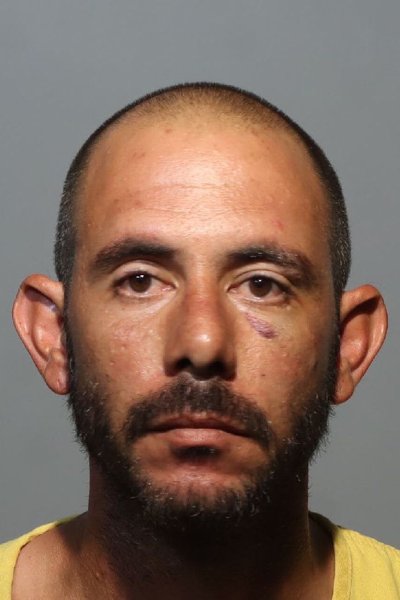 Mugshot of MIGUEL FERRER AGUILA