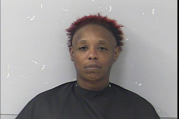 Mugshot of Danielle Renee Smith