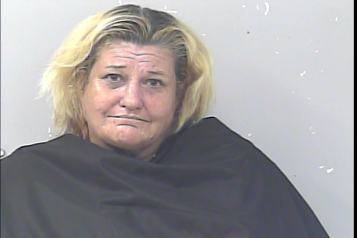 Mugshot of Lori Carlene Allan