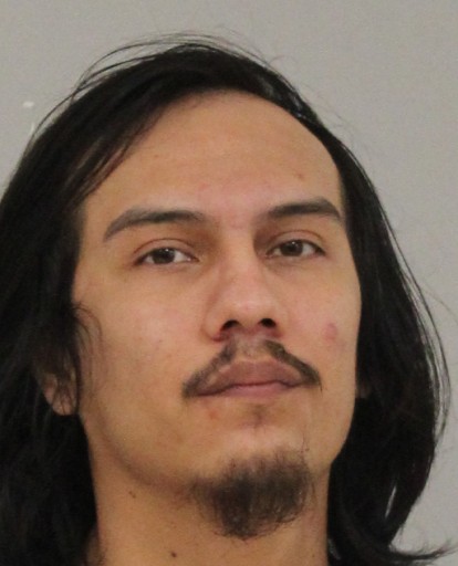 Mugshot of Pedro Yovannie Valdez