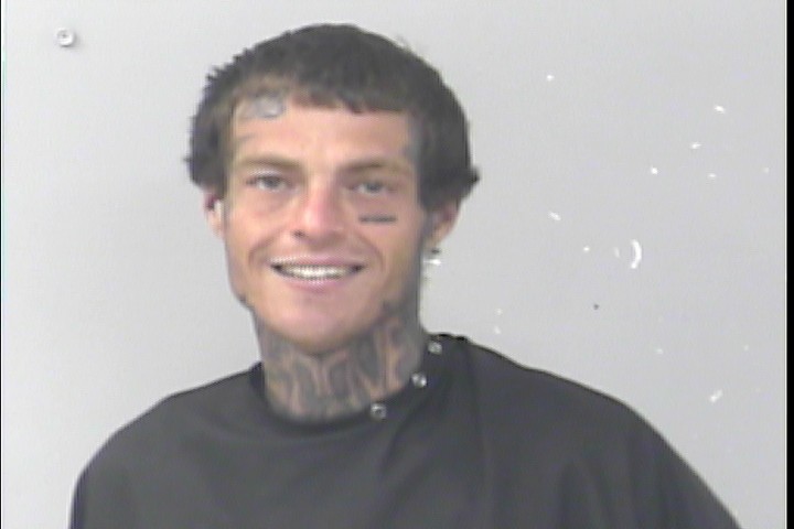 Mugshot of Brandon Lee Madill