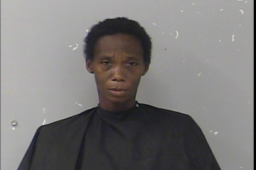 Mugshot of Julia Samantha Lurry
