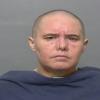 Mugshot of JULIE SULPIZIO