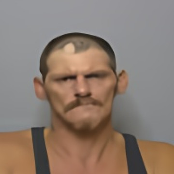 Mugshot of JAMES LEVI DAME