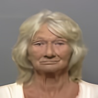 Mugshot of CAROL ANN NELSON