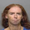 Mugshot of AMY LEANN HORTON