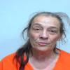 Mugshot of NIKI ANN HUMMEL
