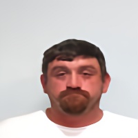 Mugshot of DANIE LYSEAS BOTHA