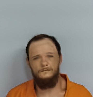 Mugshot of AUSTIN MICHAEL NELSON