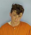 Mugshot of ALAN SHANE CARROLL