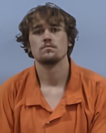 Mugshot of JORDAN LEE WALLACE