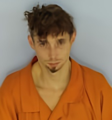 Mugshot of DAVID ALLAN ANDERSON