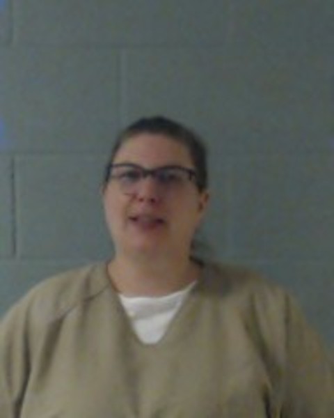 Mugshot of SHERRI ANNE FEENEY