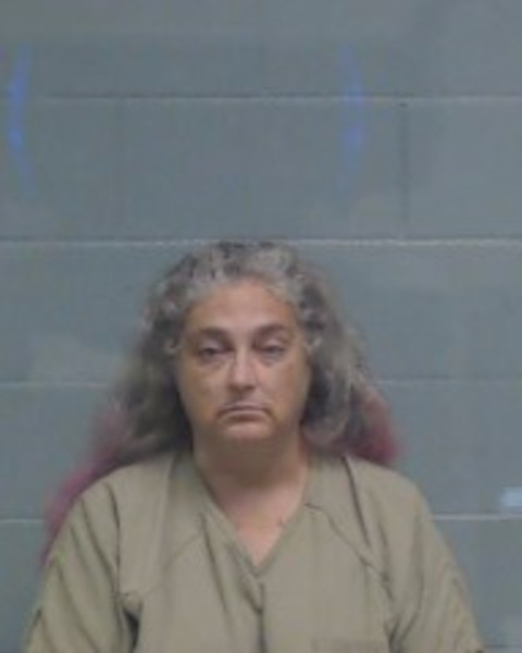 Mugshot of OLLIE ELIZABETH HOLBROOK