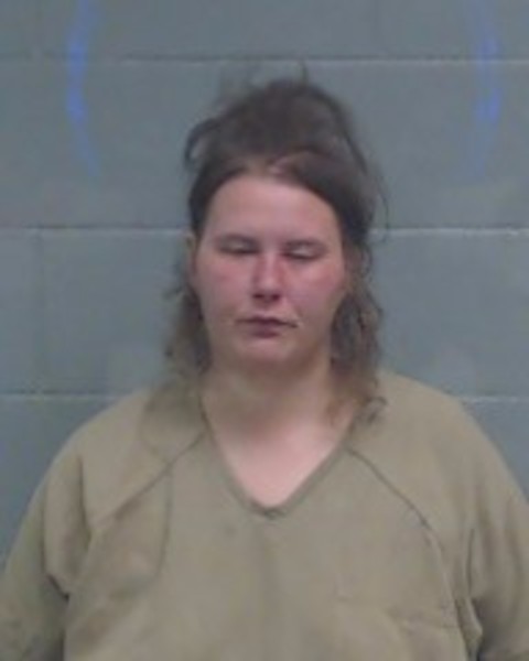 Mugshot of ANGELA JADE ANDERSON