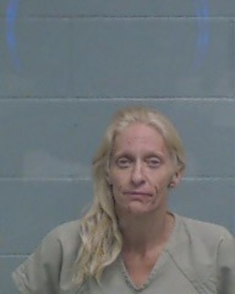 Mugshot of NICOLE RENEE BROWN