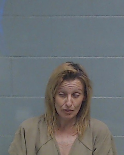 Mugshot of LYNDA CRYSTAL ELDRED