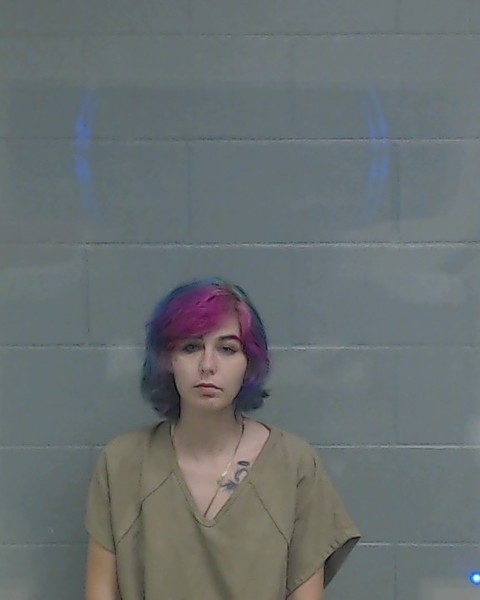 Mugshot of CHARITY NIKOLE DICKERSON