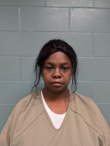 Mugshot of CEAREA MARIE JOHNSON