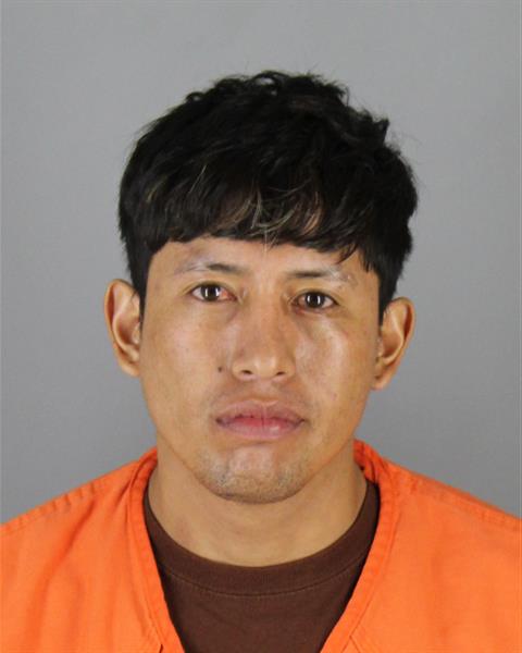 Mugshot of CRISTIAN PAUL VARGAS VEGA